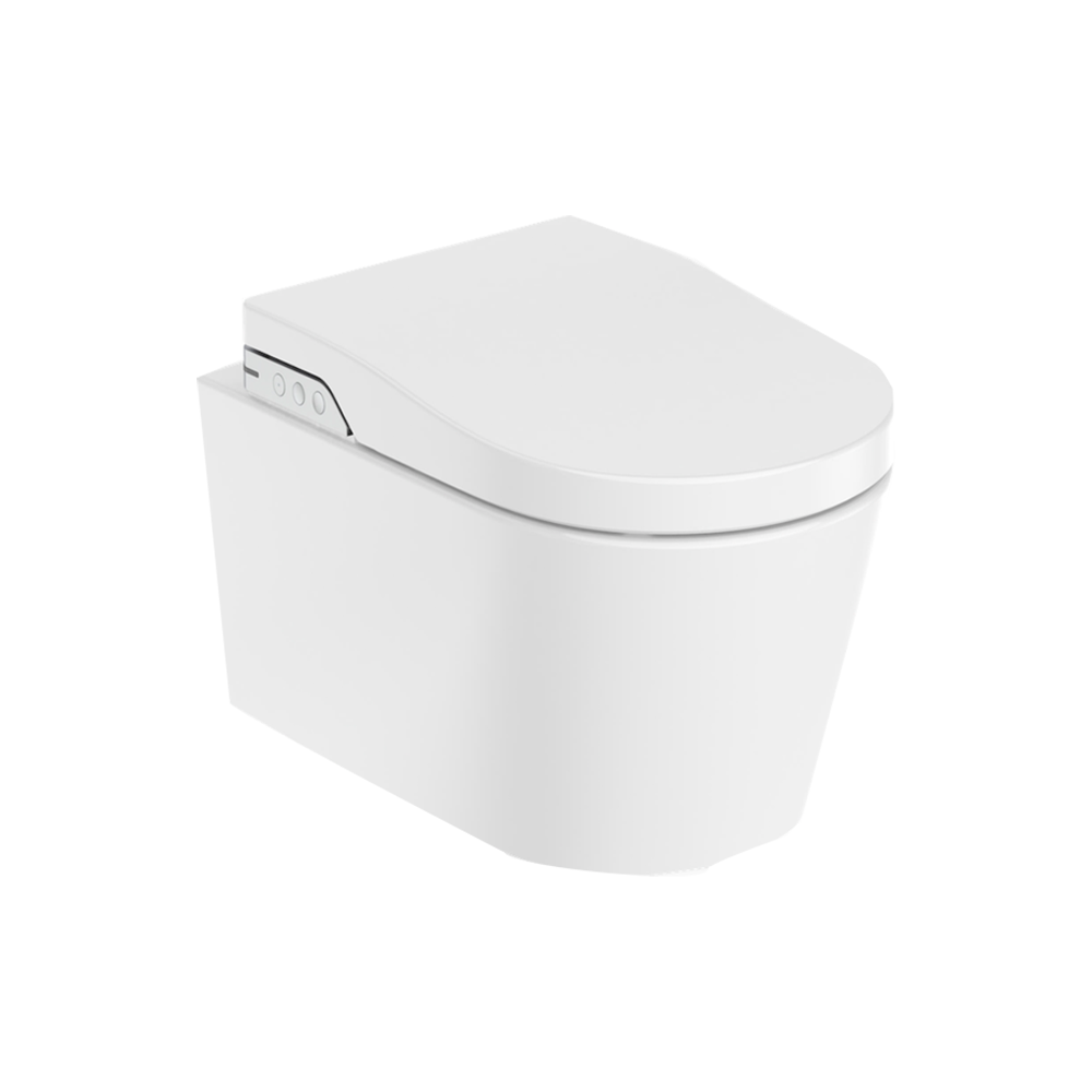 Roca Inspira In-Wash